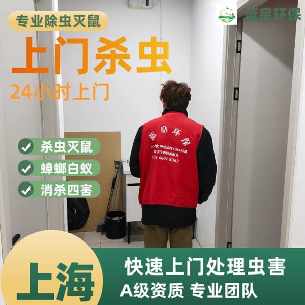 专业上门除老鼠 吊顶处理死老鼠 上海上门抓老鼠除蟑螂灭虫害