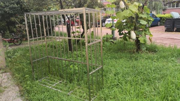 北京昌平区崔村断桥铝门窗安装不锈钢护窗防护栏