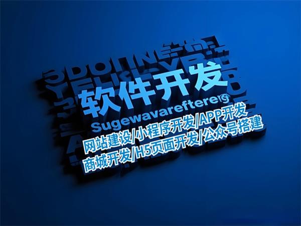 南昌软件技术开发外包公司,做网站小程序APP