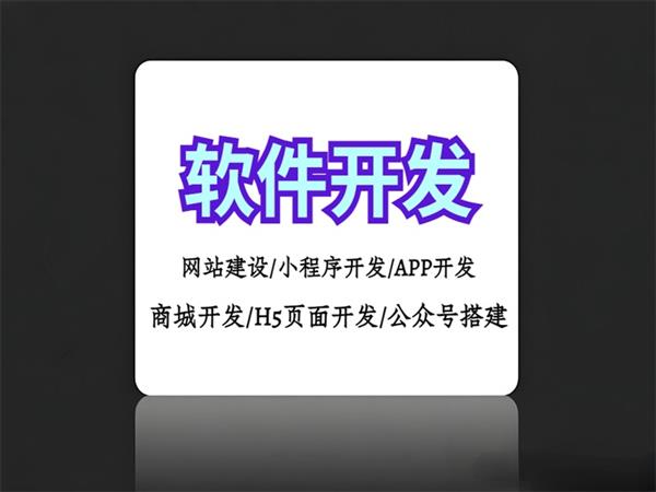 南昌软件开发厂家,做网站小程序APP开发公司