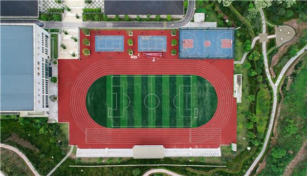 塑胶跑道十大品牌花落哪家