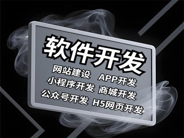 南昌小程序软件开发公司,做网站建设APP制作