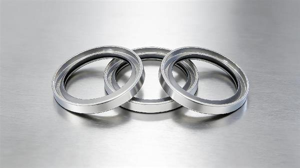 粉尘磨蚀不锈钢油封A型厂家