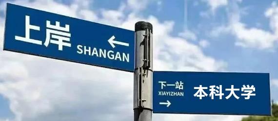 速存!2026年五年制专转本各院校专业考试科目汇总