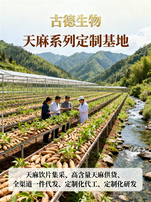 高含量天麻集采古德生物源头供应稳定天麻素百分0.5