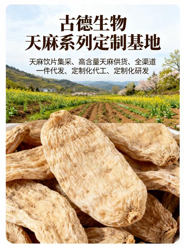 古德生物浸出物百分42天麻素百分0.5长期稳定供货