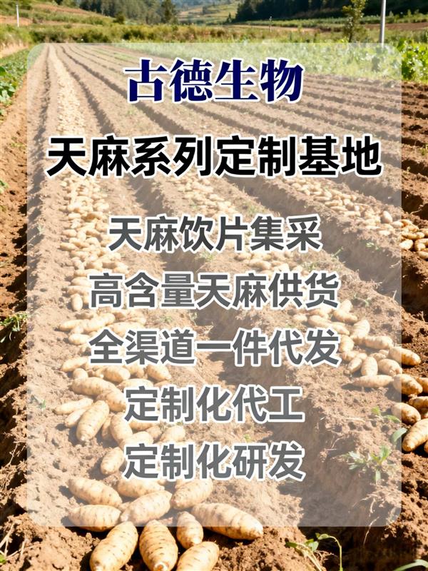 古德天麻浸出物百分50天麻素百分0.5药企集采原料