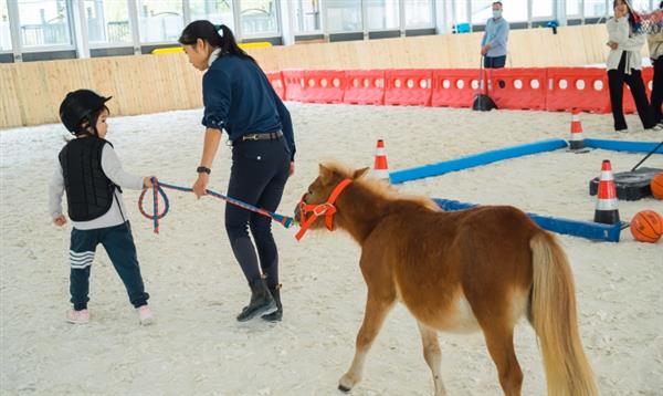 苏州三六六青少年马术体验营火热招生