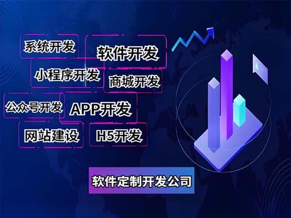 江西专注个性化定制开发网站小程序APP软件