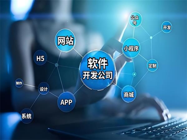 南昌做软件厂家服务商,做网站小程序APP开发