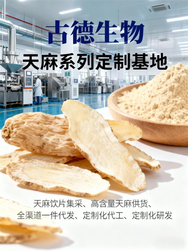 天麻高端代工浸出物百分59天麻素百分0.5