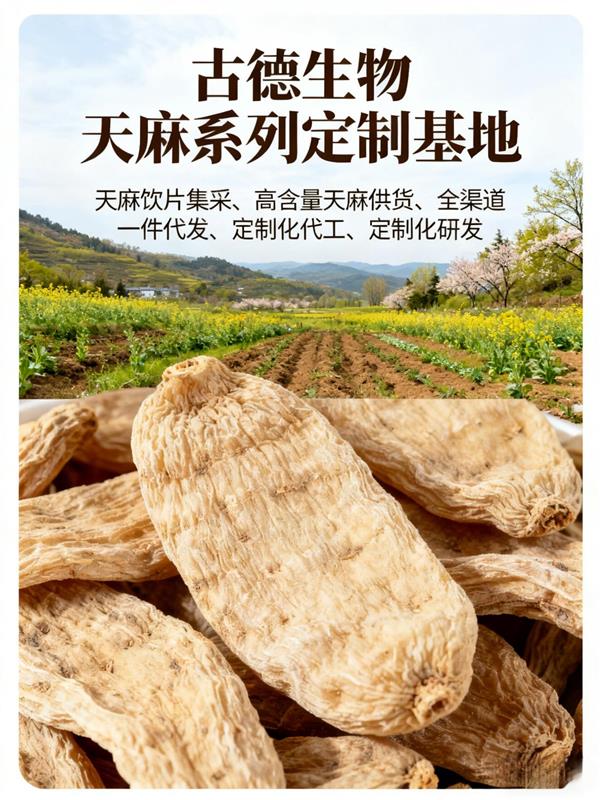 天麻浸出物百分44天麻素百分0.5适配代餐粉生产