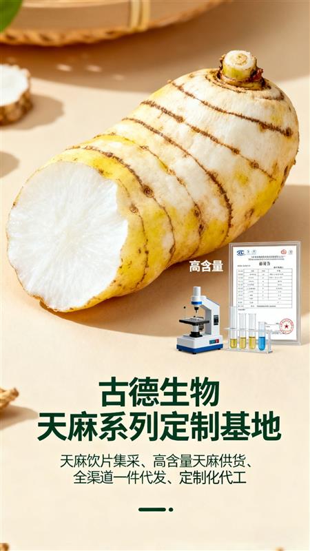 天麻批发定制浸出物百分59天麻素百分0.5规格选择