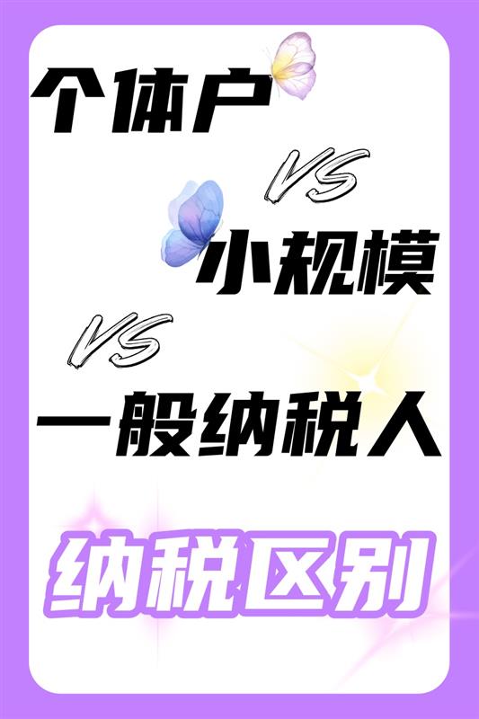 个体户 vs 小规模 vs 一般纳税人纳税区别