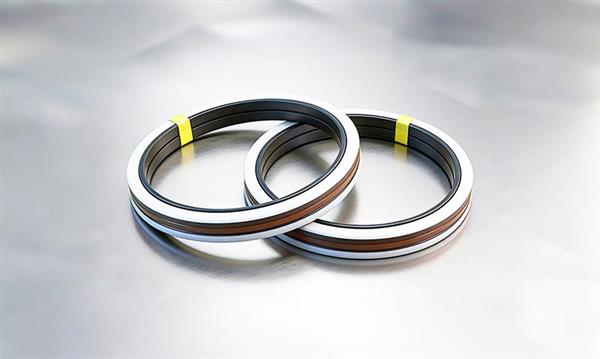 广东食品厂ZC型活塞组合密封件厂家