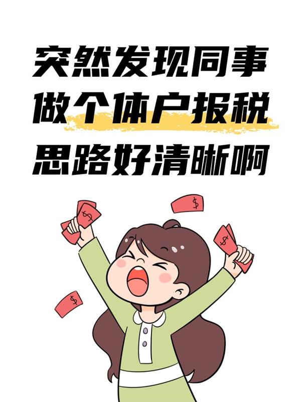 突然发现,同事做个体户报税思路好清晰啊!