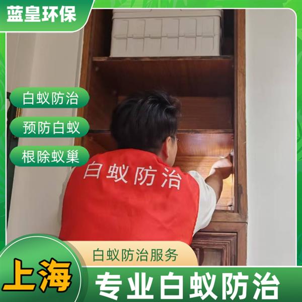 上海白蚁防治中心蓝皇环保专业除白蚁精准探测根除蚁巢