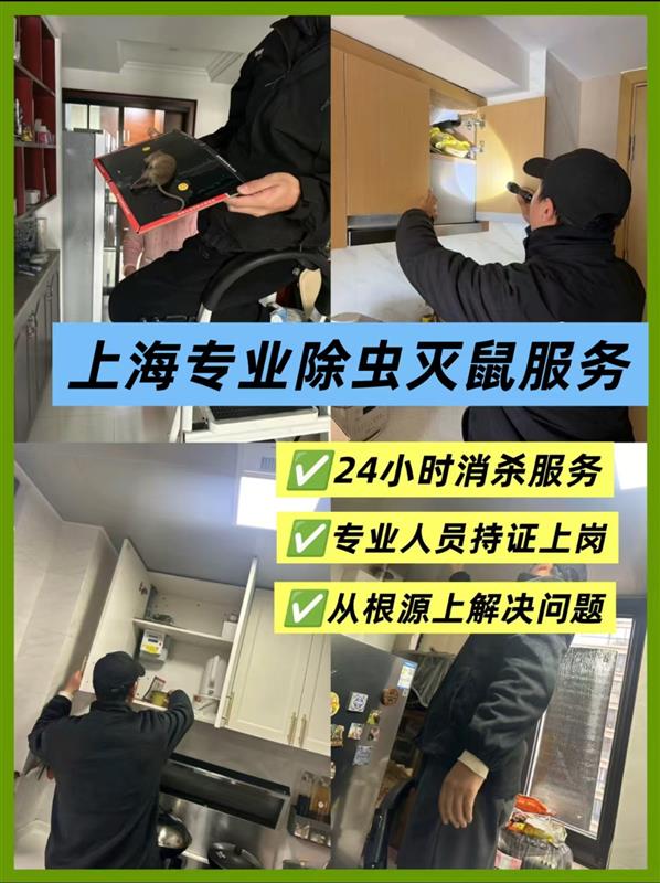上海地区灭鼠、灭蟑、灭蚊蝇、灭白蚁、灭蚂蚁上门服务蓝皇环保