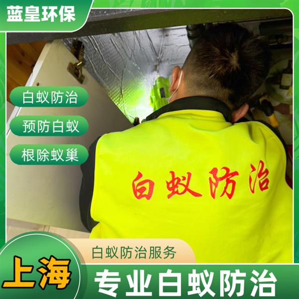 白蚁爆发即将来临 上海市专业灭除白蚁公司 24小时在线咨询