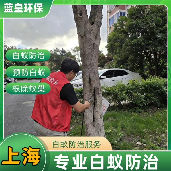室内灭白蚁 上海市专业防治白蚁 蓝皇环保除白蚁从源头彻底消灭