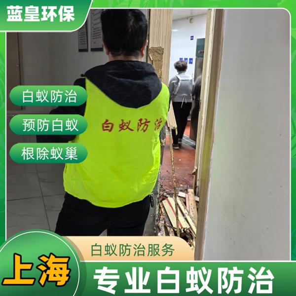 上海蓝皇环保白蚁预防管理中心:房屋灭白蚁+防治,全方位守护居家安全 上海井湾消杀消毒公司