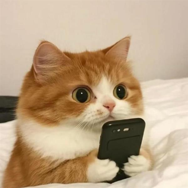 苏州太仓无锡上海翻译公司金桥日语笔译西班牙笔译