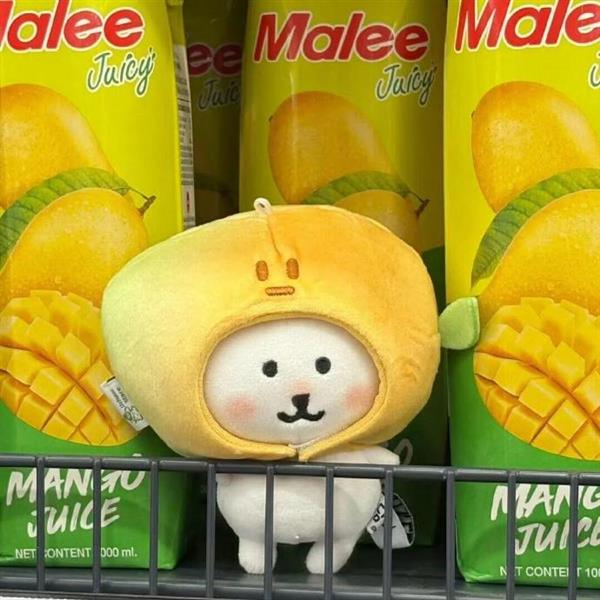 苏州上海无锡张家港日语证明笔译翻译服务