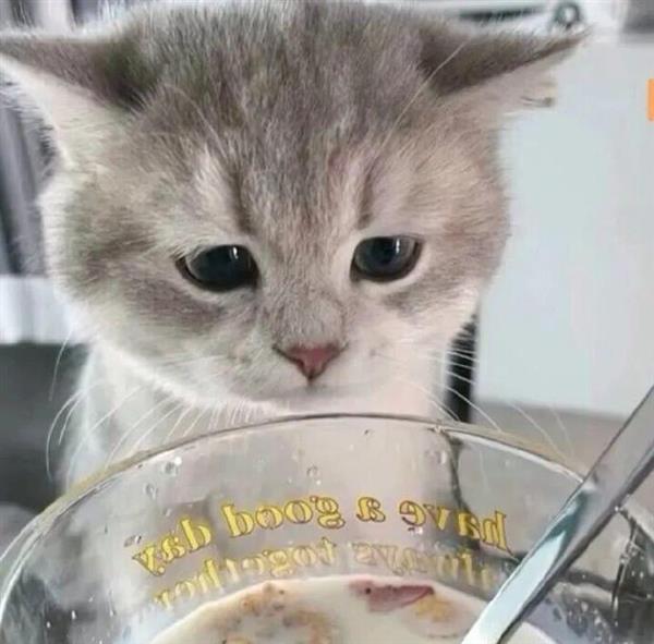 苏州翻译公司同声传译英语日语会议翻译