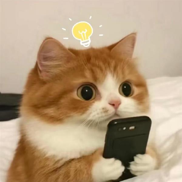 苏州无锡太仓上海学历成绩单各类证件翻译