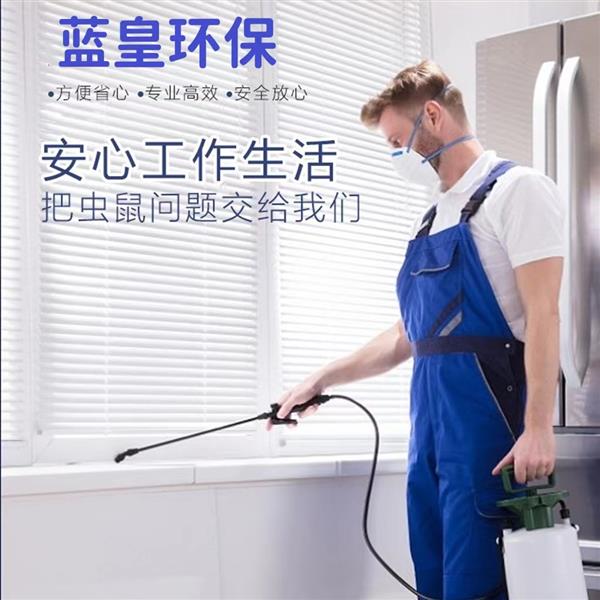 24小时上门服务除蟑螂灭老鼠杀蚂蚁除臭虫灭跳蚤