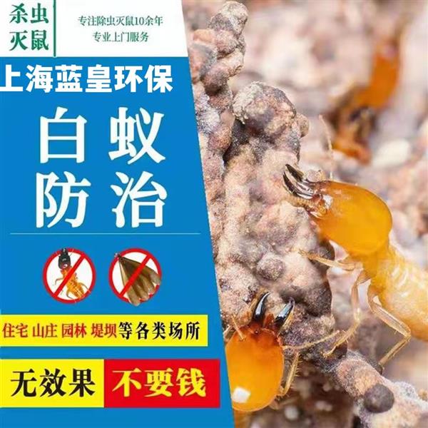 上海市白蚁防治管理中心 上海蓝皇环保专业除白蚁 正规PCO公司