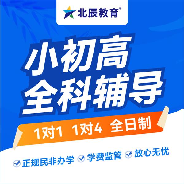 上海小初高辅导来北辰教育